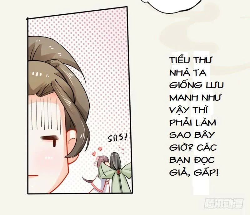 Tuyệt Thế Luyện Đan Sư Chapter 13 - Trang 2