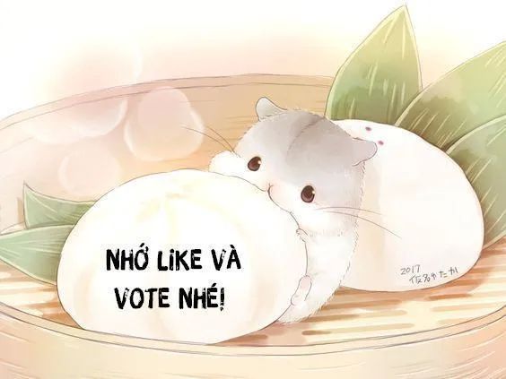 Tuyệt Thế Luyện Đan Sư Chapter 13 - Trang 2