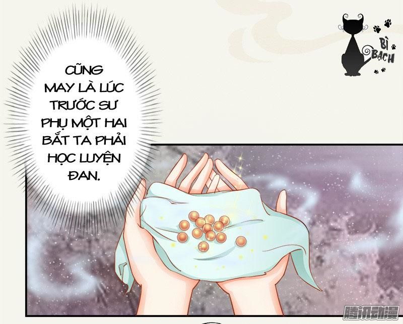 Tuyệt Thế Luyện Đan Sư Chapter 5 - Trang 2