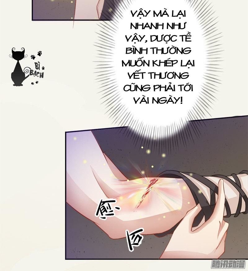 Tuyệt Thế Luyện Đan Sư Chapter 5 - Trang 2