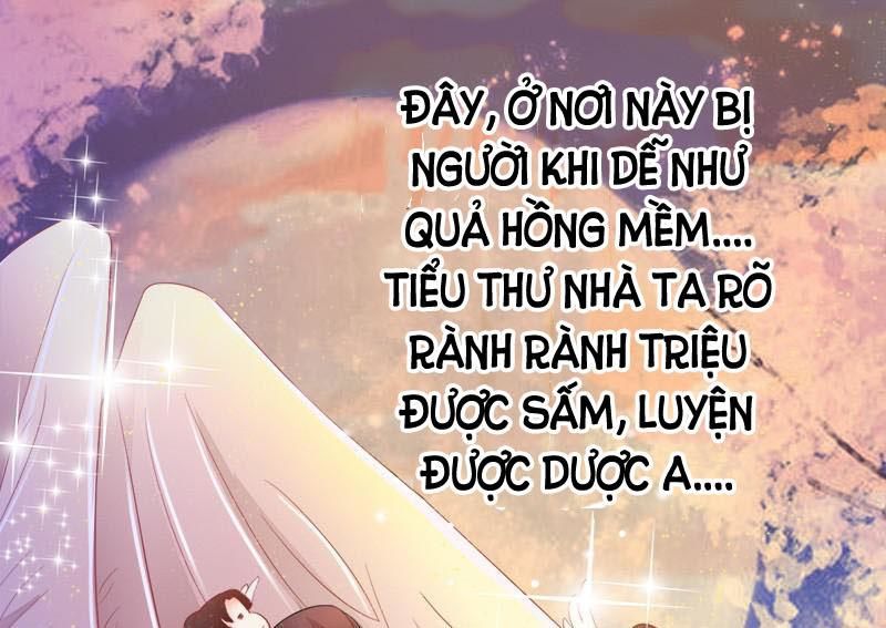 Tuyệt Thế Luyện Đan Sư Chapter 5 - Trang 2