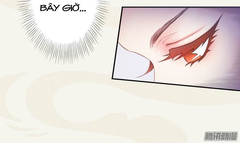 Tuyệt Thế Luyện Đan Sư Chapter 5 - Trang 2