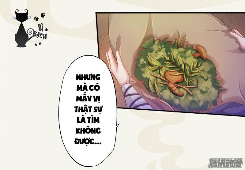 Tuyệt Thế Luyện Đan Sư Chapter 5 - Trang 2