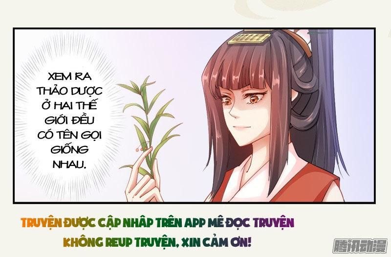 Tuyệt Thế Luyện Đan Sư Chapter 5 - Trang 2
