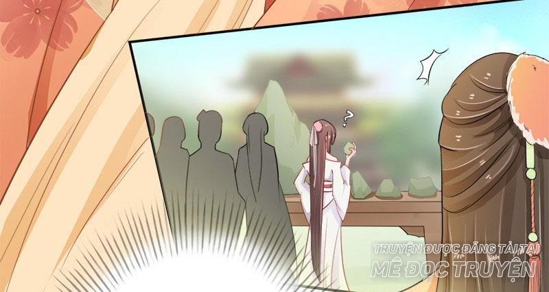 Tuyệt Thế Luyện Đan Sư Chapter 6 - Trang 2