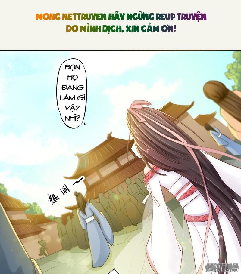 Tuyệt Thế Luyện Đan Sư Chapter 6 - Trang 2