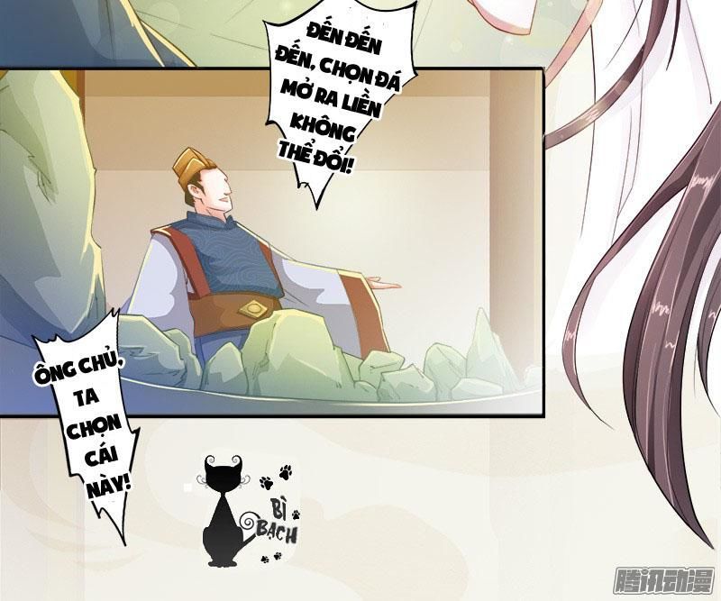 Tuyệt Thế Luyện Đan Sư Chapter 6 - Trang 2