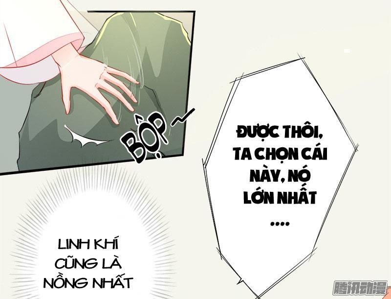 Tuyệt Thế Luyện Đan Sư Chapter 6 - Trang 2