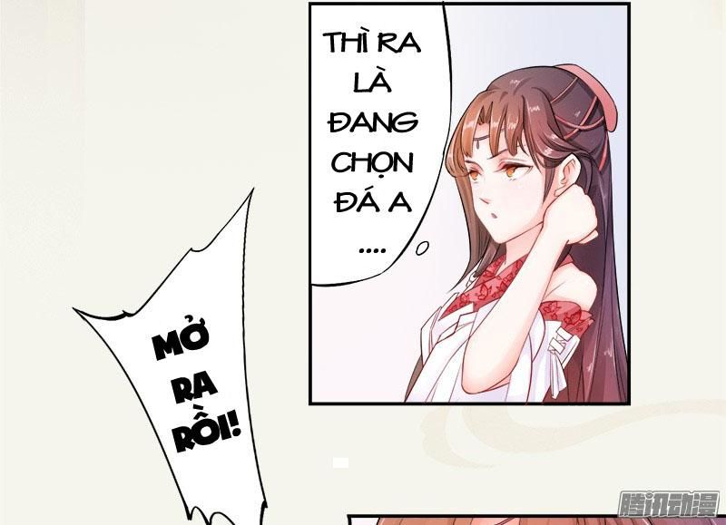 Tuyệt Thế Luyện Đan Sư Chapter 6 - Trang 2