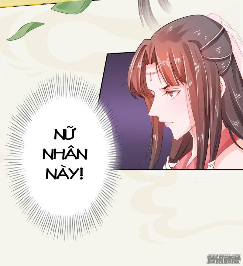 Tuyệt Thế Luyện Đan Sư Chapter 6 - Trang 2
