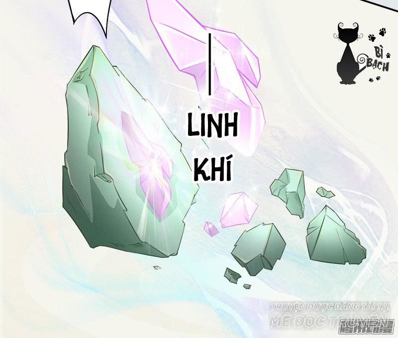 Tuyệt Thế Luyện Đan Sư Chapter 6 - Trang 2