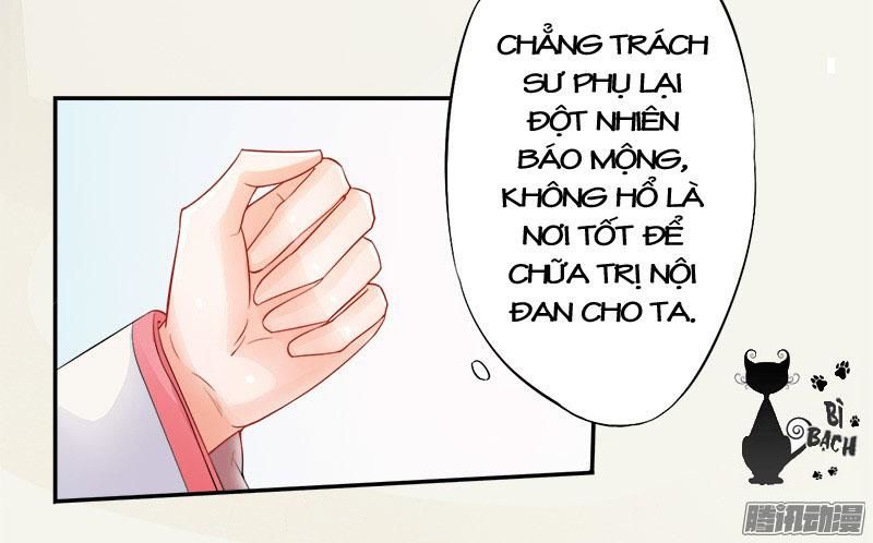 Tuyệt Thế Luyện Đan Sư Chapter 6 - Trang 2