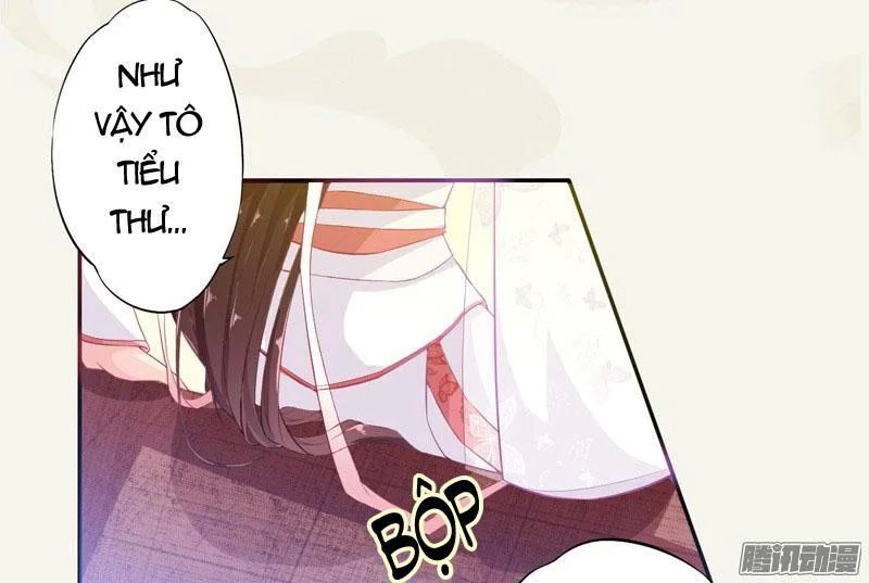 Tuyệt Thế Luyện Đan Sư Chapter 7 - Trang 2