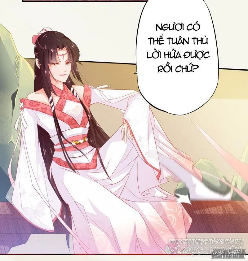 Tuyệt Thế Luyện Đan Sư Chapter 7 - Trang 2