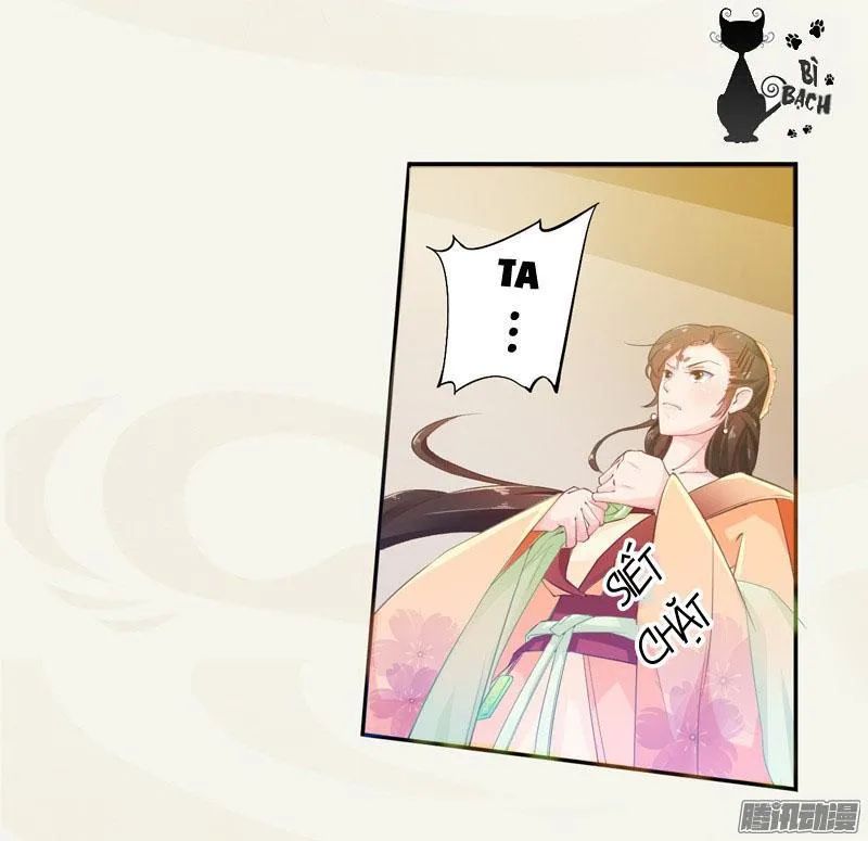 Tuyệt Thế Luyện Đan Sư Chapter 7 - Trang 2