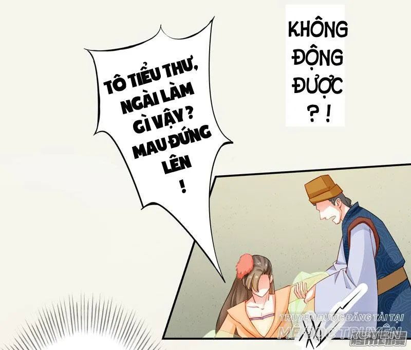 Tuyệt Thế Luyện Đan Sư Chapter 7 - Trang 2