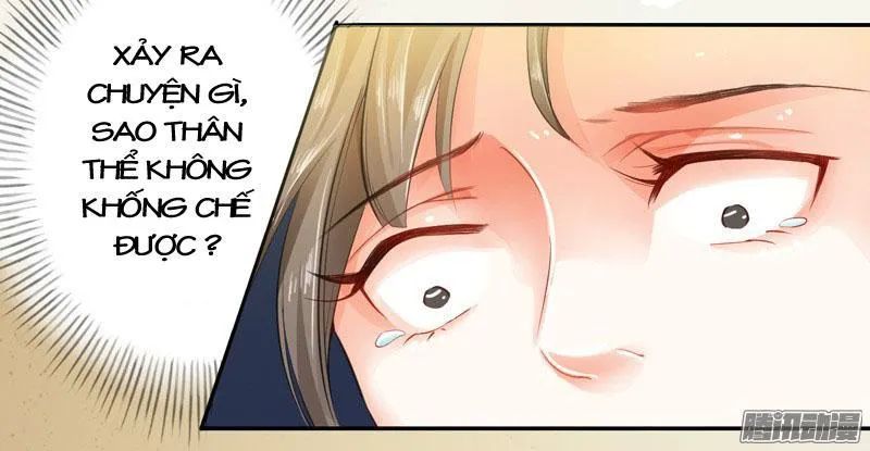 Tuyệt Thế Luyện Đan Sư Chapter 7 - Trang 2