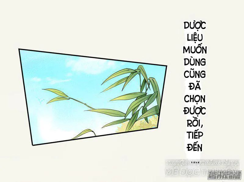 Tuyệt Thế Luyện Đan Sư Chapter 7 - Trang 2