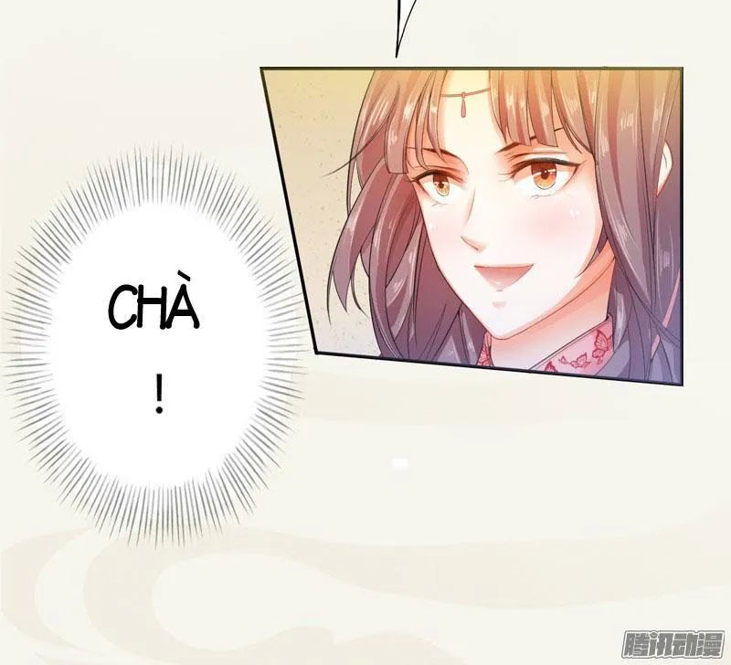 Tuyệt Thế Luyện Đan Sư Chapter 7 - Trang 2