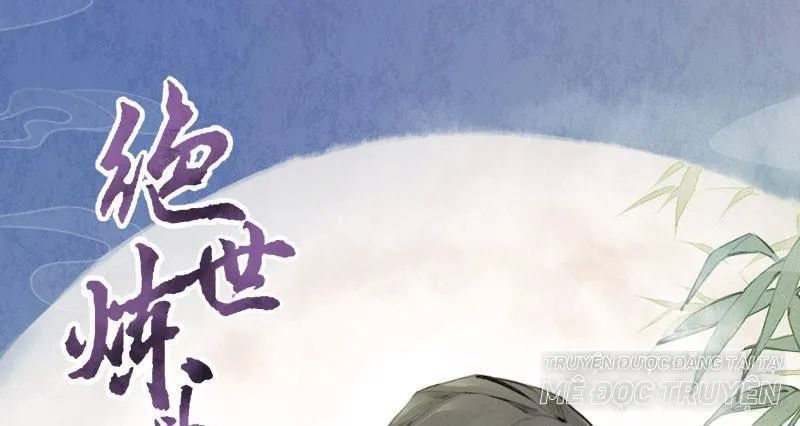 Tuyệt Thế Luyện Đan Sư Chapter 8 - Trang 2