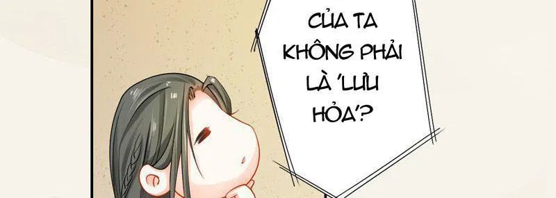 Tuyệt Thế Luyện Đan Sư Chapter 8 - Trang 2