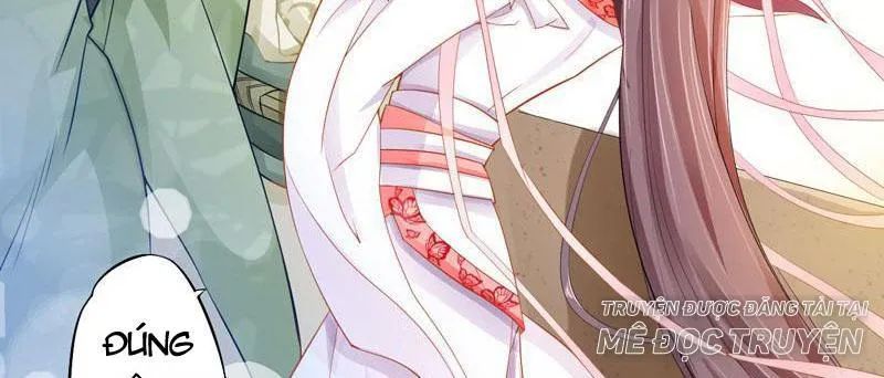 Tuyệt Thế Luyện Đan Sư Chapter 8 - Trang 2