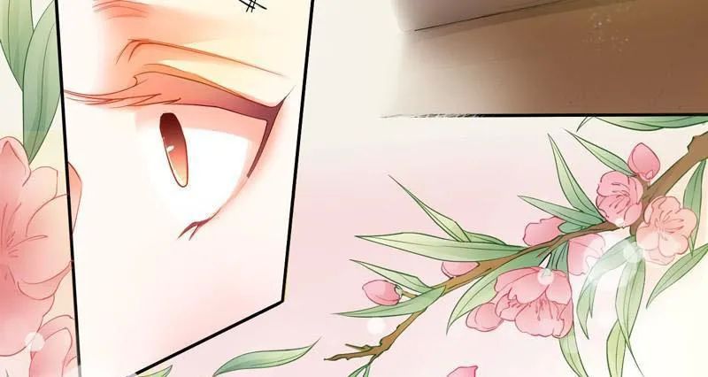 Tuyệt Thế Luyện Đan Sư Chapter 8 - Trang 2