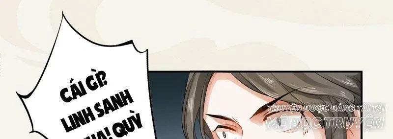 Tuyệt Thế Luyện Đan Sư Chapter 9 - Trang 2