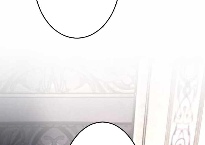 Tuyệt Thế Sát Thủ Hồi Quy Tại Học Viện Chapter 19 - Trang 2