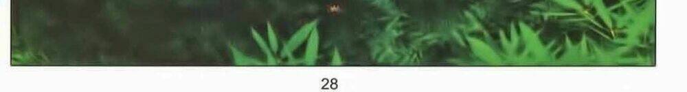 Tuyệt Thế Vô Song 2 Chapter 46 - Trang 2