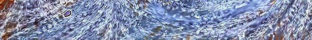 Tuyệt Thế Vô Song 2 Chapter 47 - Trang 2