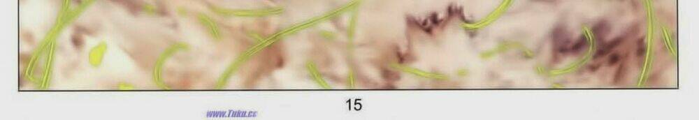 Tuyệt Thế Vô Song 2 Chapter 66 - Trang 2