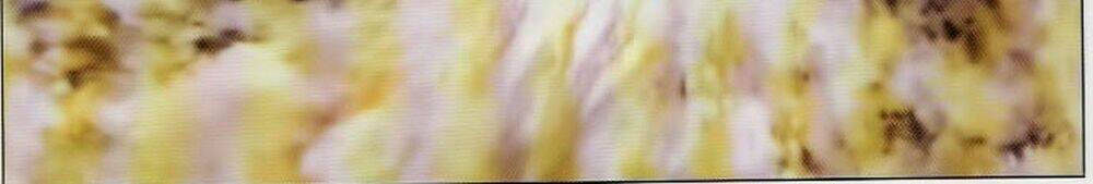 Tuyệt Thế Vô Song 2 Chapter 75 - Trang 2