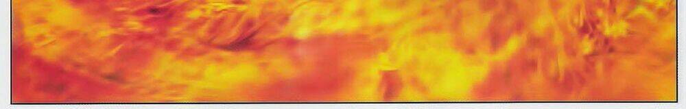 Tuyệt Thế Vô Song 2 Chapter 76 - Trang 2