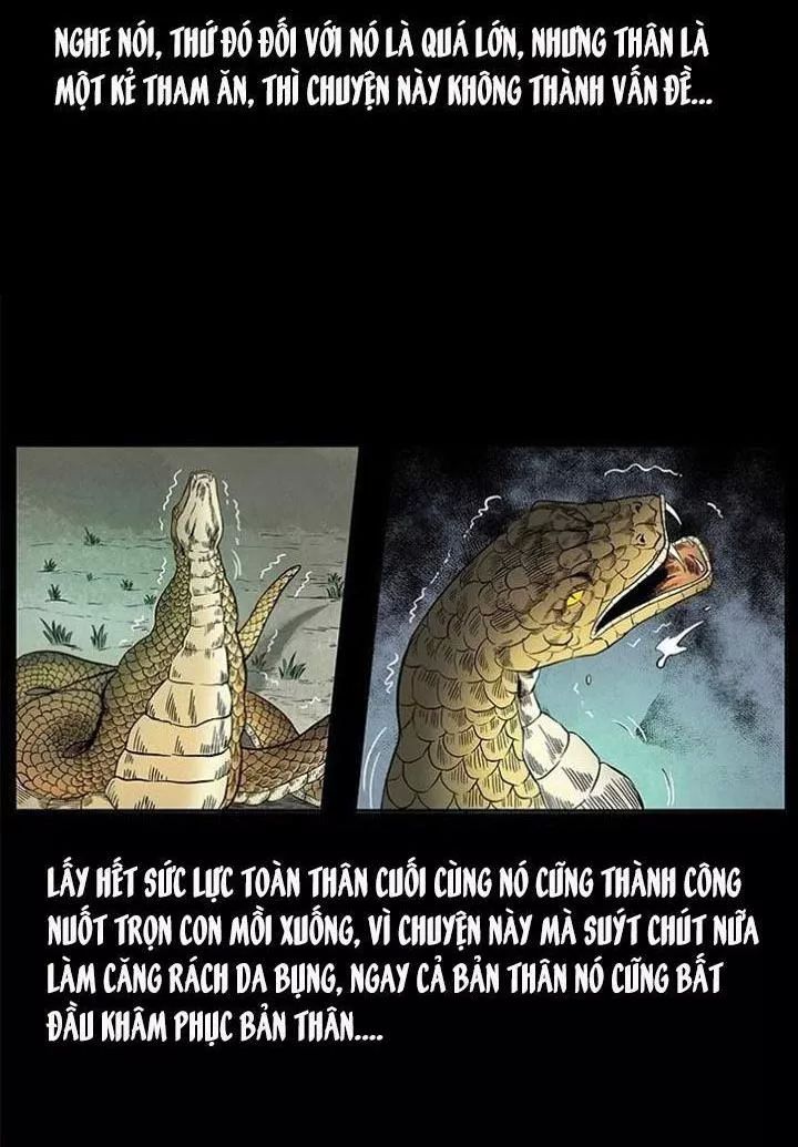 U Minh Ngụy Tượng Chapter 142 - Trang 2