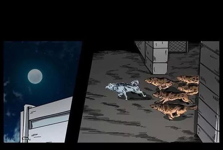 U Minh Ngụy Tượng Chapter 155 - Trang 2