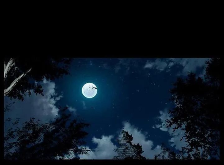 U Minh Ngụy Tượng Chapter 169 - Trang 2