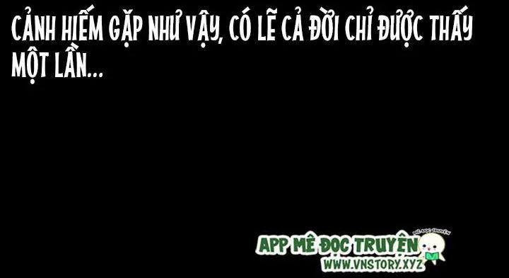 U Minh Ngụy Tượng Chapter 207 - Trang 2