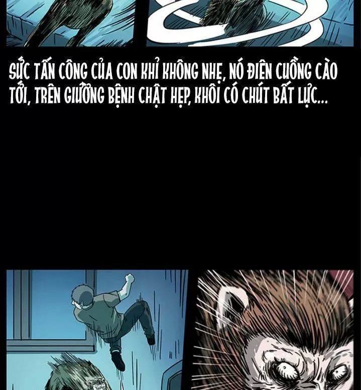 U Minh Ngụy Tượng Chapter 231 - Trang 2