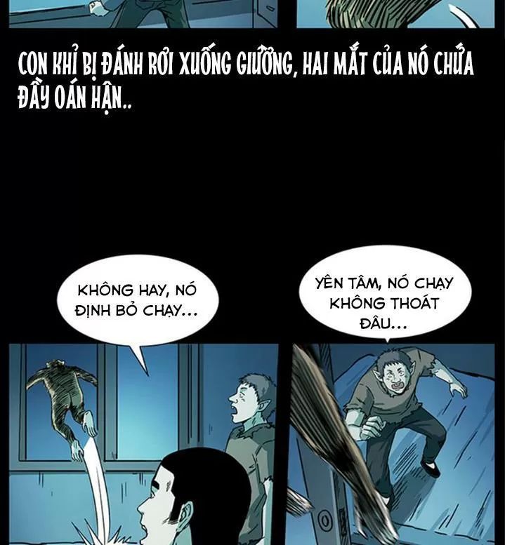 U Minh Ngụy Tượng Chapter 231 - Trang 2
