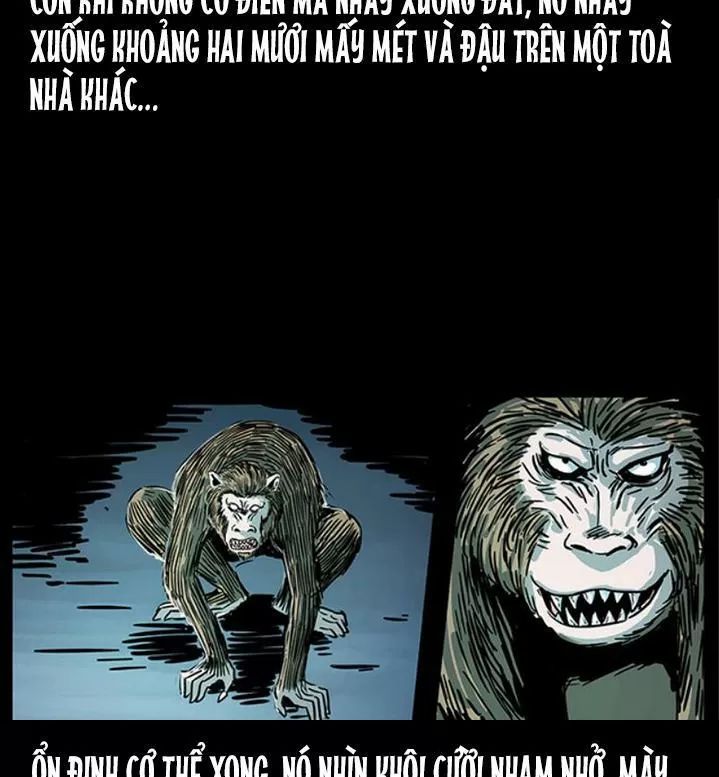 U Minh Ngụy Tượng Chapter 231 - Trang 2