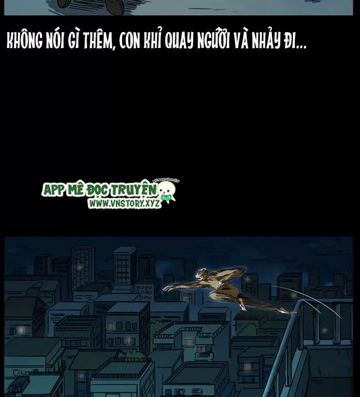 U Minh Ngụy Tượng Chapter 232 - Trang 2