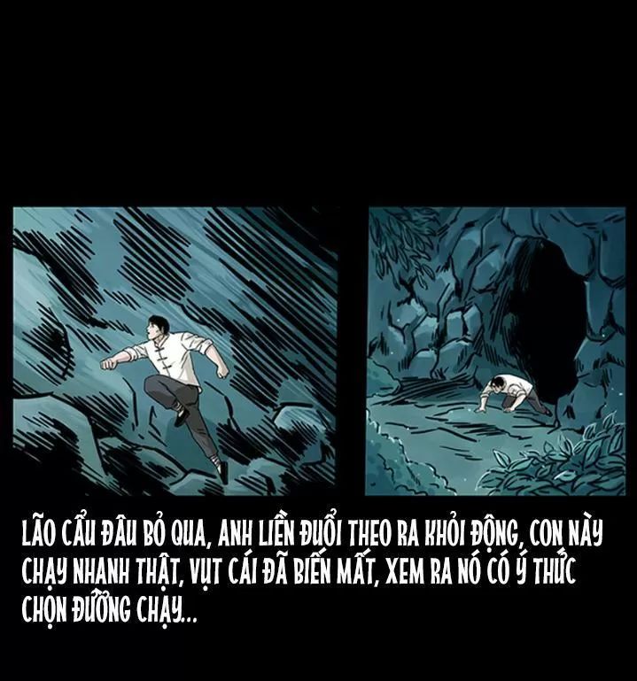 U Minh Ngụy Tượng Chapter 234 - Trang 2