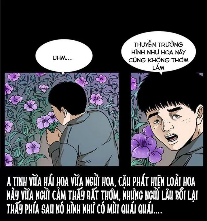 U Minh Ngụy Tượng Chapter 239 - Trang 2