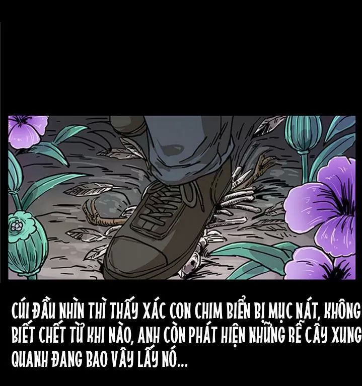 U Minh Ngụy Tượng Chapter 239 - Trang 2