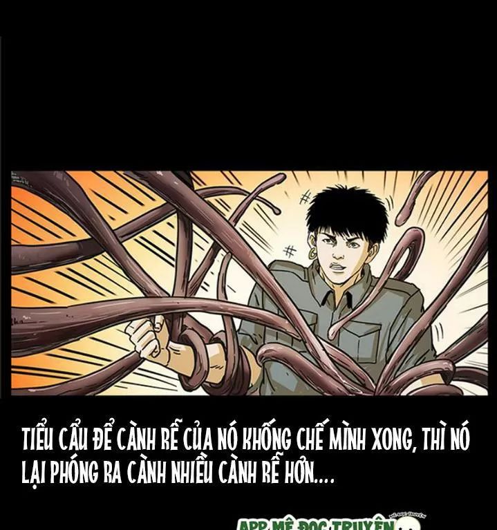 U Minh Ngụy Tượng Chapter 239 - Trang 2