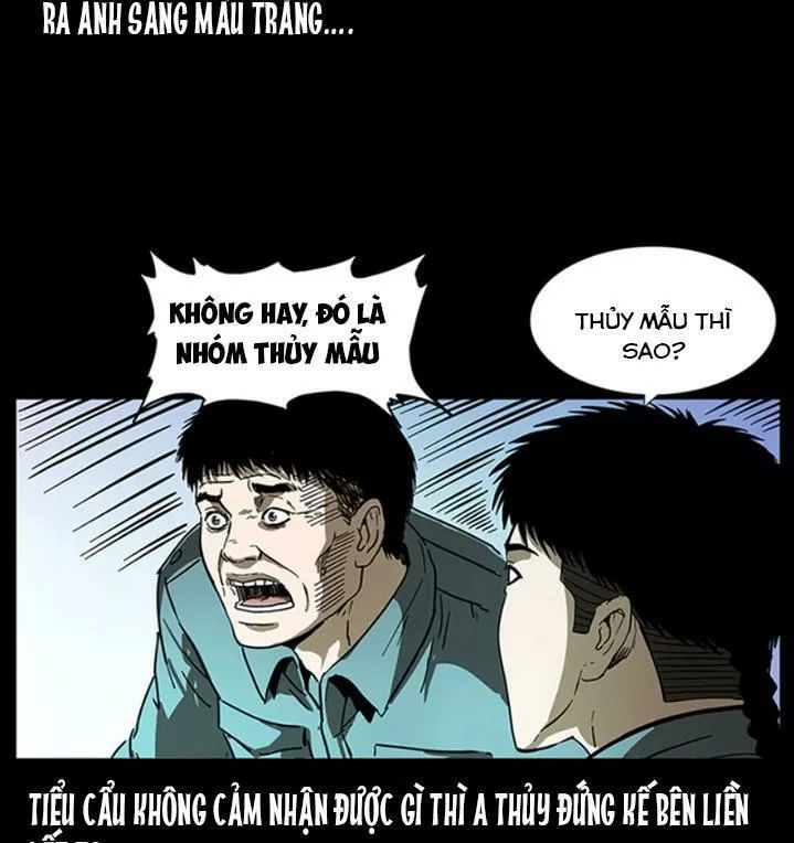 U Minh Ngụy Tượng Chapter 243 - Trang 2