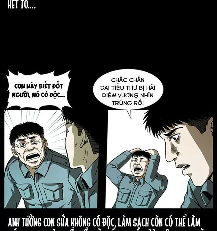 U Minh Ngụy Tượng Chapter 243 - Trang 2