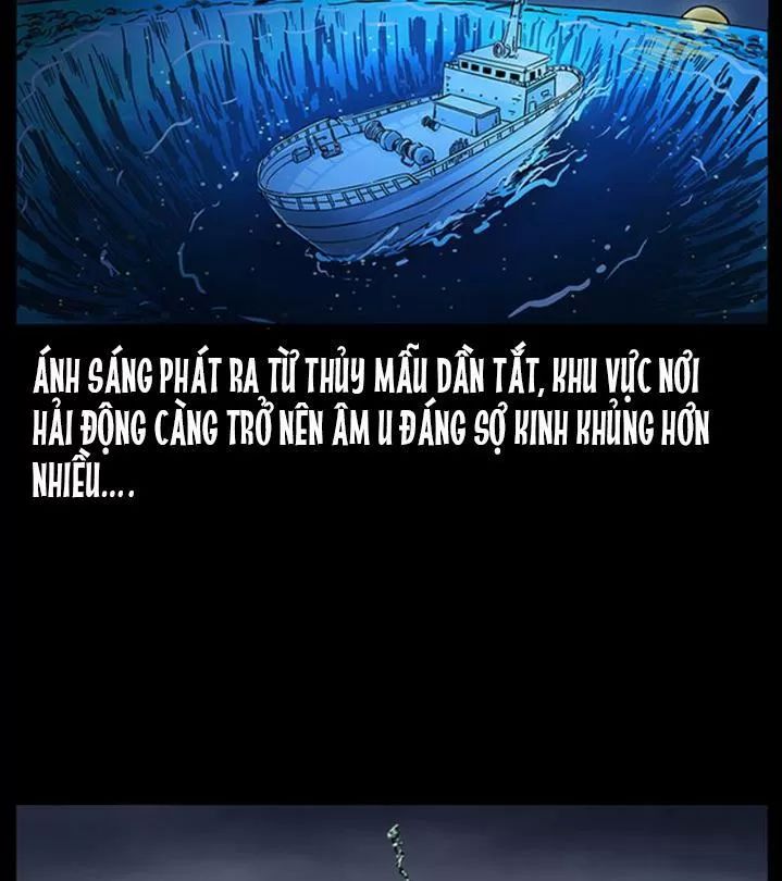 U Minh Ngụy Tượng Chapter 243 - Trang 2