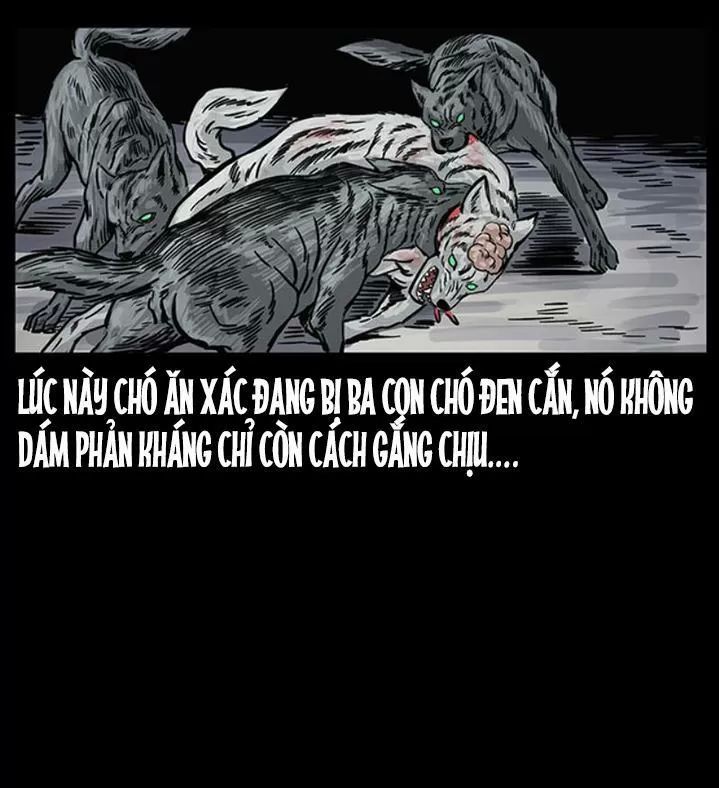 U Minh Ngụy Tượng Chapter 255 - Trang 2